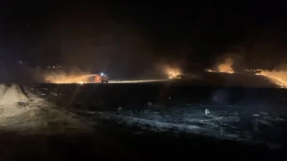 Çorum’da alevlere teslim olan 300 dönüm mera küle döndü