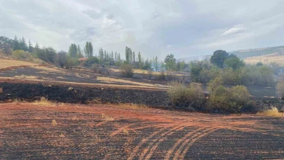 Çorum’da arazi yangını: 250 dönüm tarla ve 15 dönüm ağaçlık alan zarar gördü