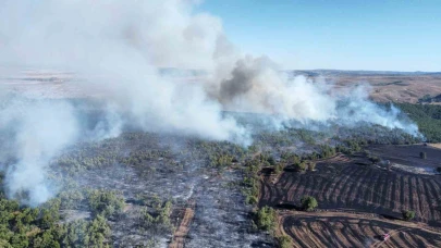 Çorum’daki yangında 70 bin dönümden fazla alan zarar gördü