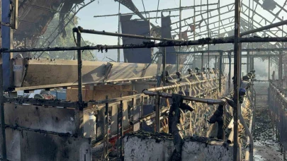 Orman yangınında keçi üretim çiftliği küle döndü