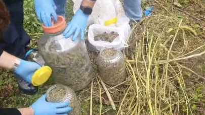 Fındık bahçesindeki bidonlardan uyuşturucu çıktı