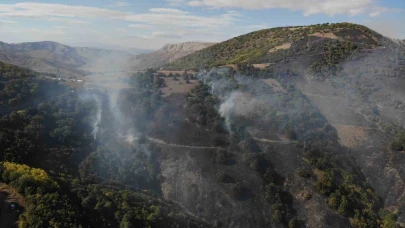 Orman yangınında 30 hektar alan küle döndü
