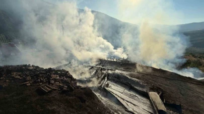Çıkan yangında iki ev ve iki samanlık kullanılamaz hale geldi