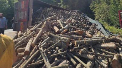 Tomruk kamyonu devrildi: 21 ton tomruk yola saçıldı