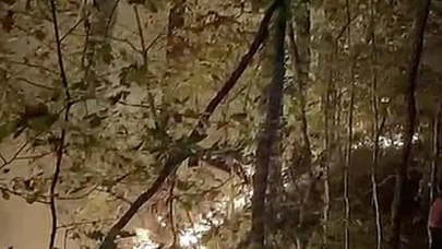 Orman yangını söndürüldü