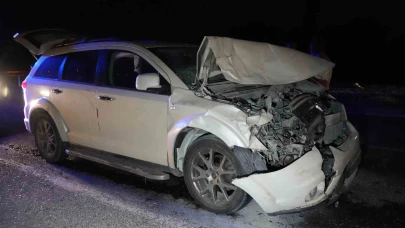 Yola çıkan hayvanlara otobüs ve cip çarptı: 3 inek telef oldu