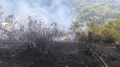 2 dekarlık alanda örtü yangını