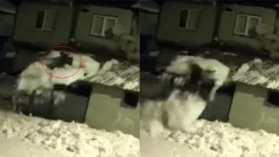 Çatıdaki karı temizlerken kar kütlesiyle zemine düştü