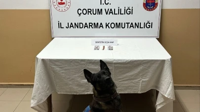 Çorum’da uyuşturucu hapla yakalanan 3 kişi gözaltına alındı