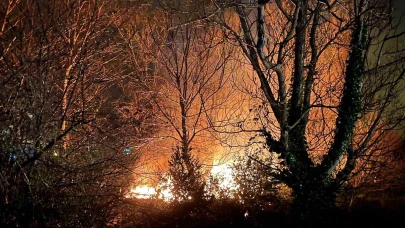 Ağaçlık alanda çıkan yangın korkuttu