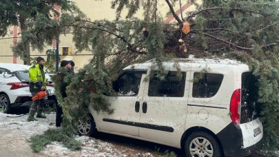 Kökünden sökülen ağaç park halindeki aracın üzerine devrildi
