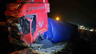 Lastik patlayınca yoldan çıktı
