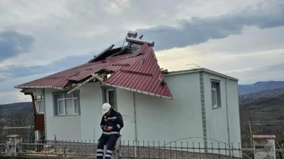 Fırtına nedeniyle çatı uçtu, ağaç devrildi