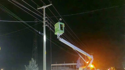 Kamyon, elektrik ve telefon hatlarına zarar verdi
