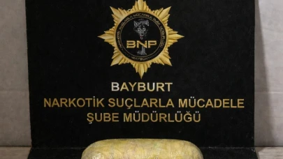 219 gram skunk ele geçirildi