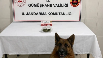Uyuşturucu operasyonu