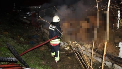 Ahır yangını: 27 büyükbaş hayvan telef oldu