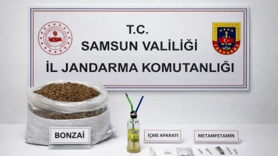 12 kilo bonzai ele geçirildi