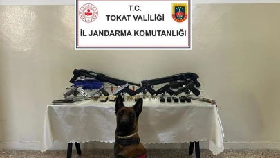 Silah ve fişek kaçakçılığına darbe