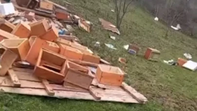 Fırtına arıcılığı vurdu: Onlarca kovan zarar gördü