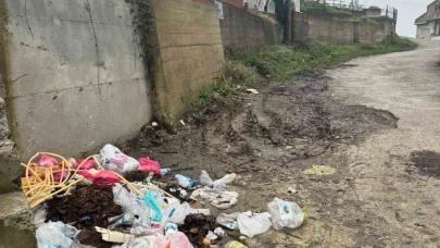 Çöp ve yol sorunu vatandaşı çileden çıkardı