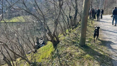 "Patpat" şarampole yuvarlandı: 2 yaralı