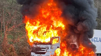 Arızalanan tır alev alev yandı