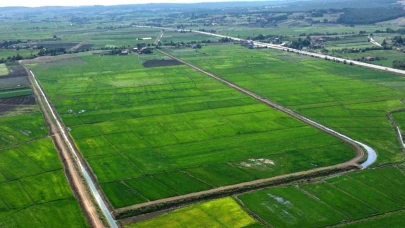 Bozulan tarım arazileri cezasız kalmadı: 48 işlem uygulandı