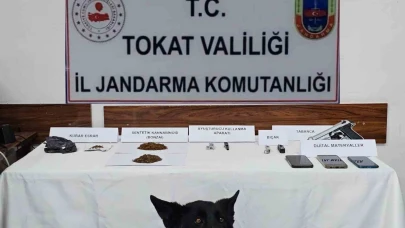 Jandarmadan zehir tacirlerine operasyon: 5 gözaltı