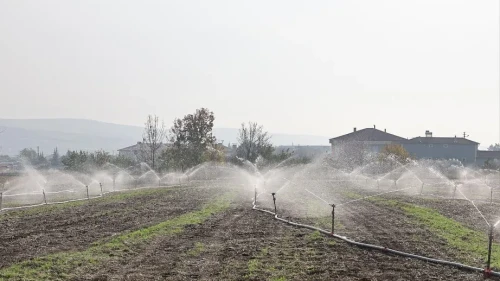 Merzifon Kayadüzü Köyünde Basınçlı Sulama Dönemi