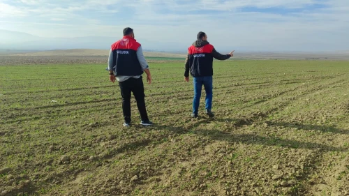 Suluova’da Buğday Çıkışı Denetlendi
