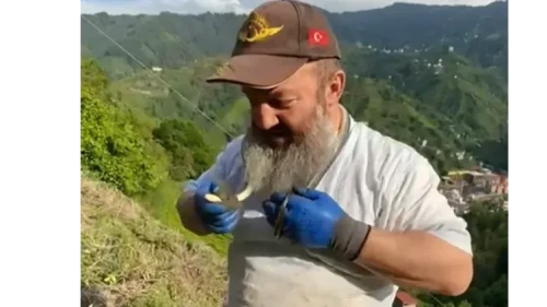 Tuttuğu yılanın önce güzelliğini anlattı, sonra kolye gibi boynuna doladı