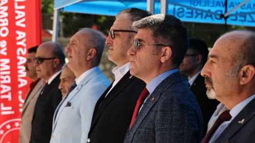 Amasya’da Üreticilere GES’li Çadır ve Solarizasyon Desteği