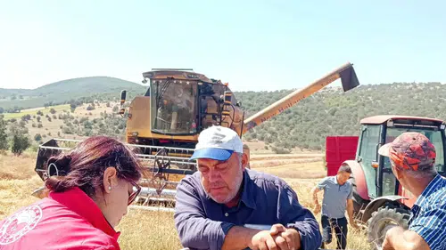 Merzifon’da Biçerdöverlere Sıkı Kontrol