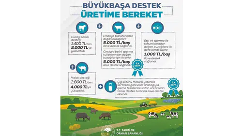 Büyükbaş Desteğinde Rekor Artış