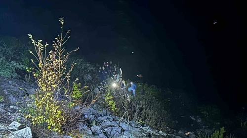 Otomobil şarampole yuvarlandı: 1 yaralı