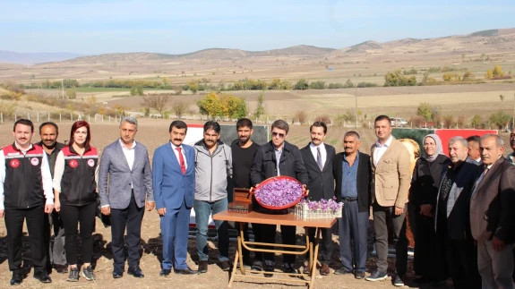 Ayvalıpınar Köyü’nde Safran Hasadı Başladı