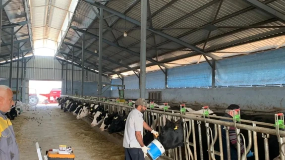 Merzifon’da Ari İşletme Tespit ve Kontrol