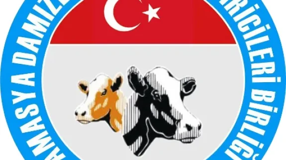 Amasya DSYB’den Yonca Hasadı