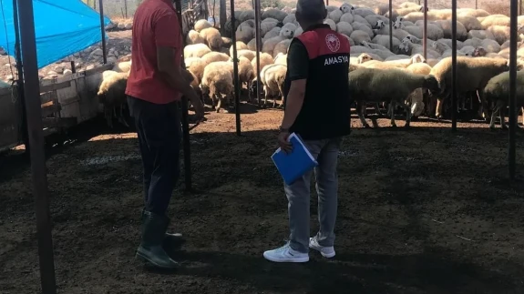 Amasya’da Uzman Eller Projeleri Yerinde İncelendi