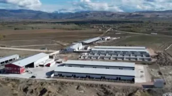 Amasya’nın Et Üretim Üssü Büyüyor!
