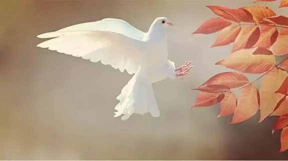 Rüyada Kuş Görmek Ne Anlama Gelir? İşte En Detaylı Yorum