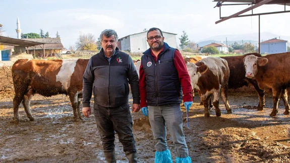 Köyümde Yaşamak İçin Bir Sürü Nedenim Var