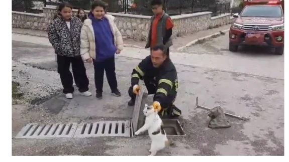 Suluova’da Kediyi Mazgaldan Kurtardılar