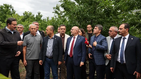 Amasya'da Zirai Donun Etkileri İncelendi, Çiftçilere Destek Sözü Verildi
