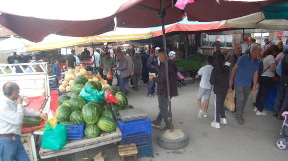 Kiraz Fiyatı Dudak Uçuklattı: Kilosu 500 TL!