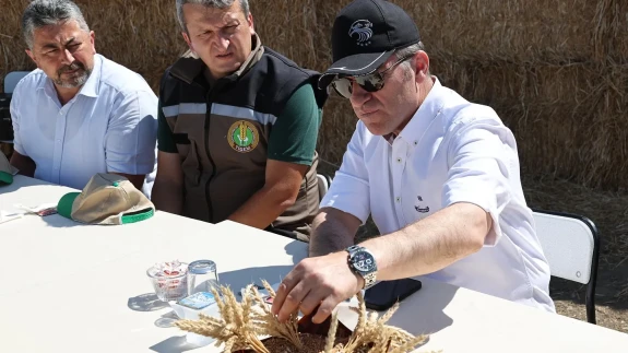 Gökhöyük’te Hasat Dualarla Başladı: 4 Bin Tonluk Tohumluk Buğday Üretimi Hedefleniyor