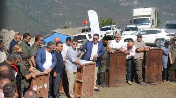 Amasya’da Yaban Hayatına Destek: 5 Yaban Keçisi Doğaya Salındı