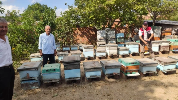 Merzifon’da Arıcılık Faaliyetlerine Destek ve Denetim