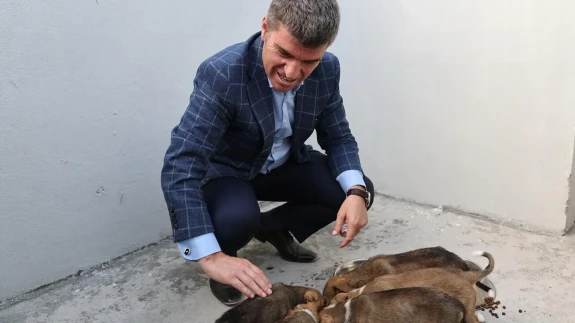Amasya’da Sokak Hayvanları Barınağı Tamamlandı